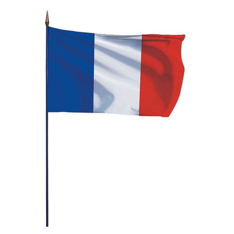 Drapeau. 40x50 France hampe bleue