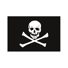 Pavillon. 20x30 Etamine Pirate Os (Jolly Roger)