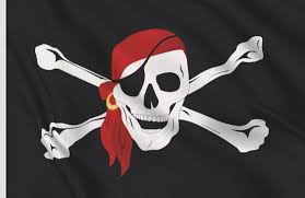 Pavillon. 30x45 Etamine Pirate "Bandanas"