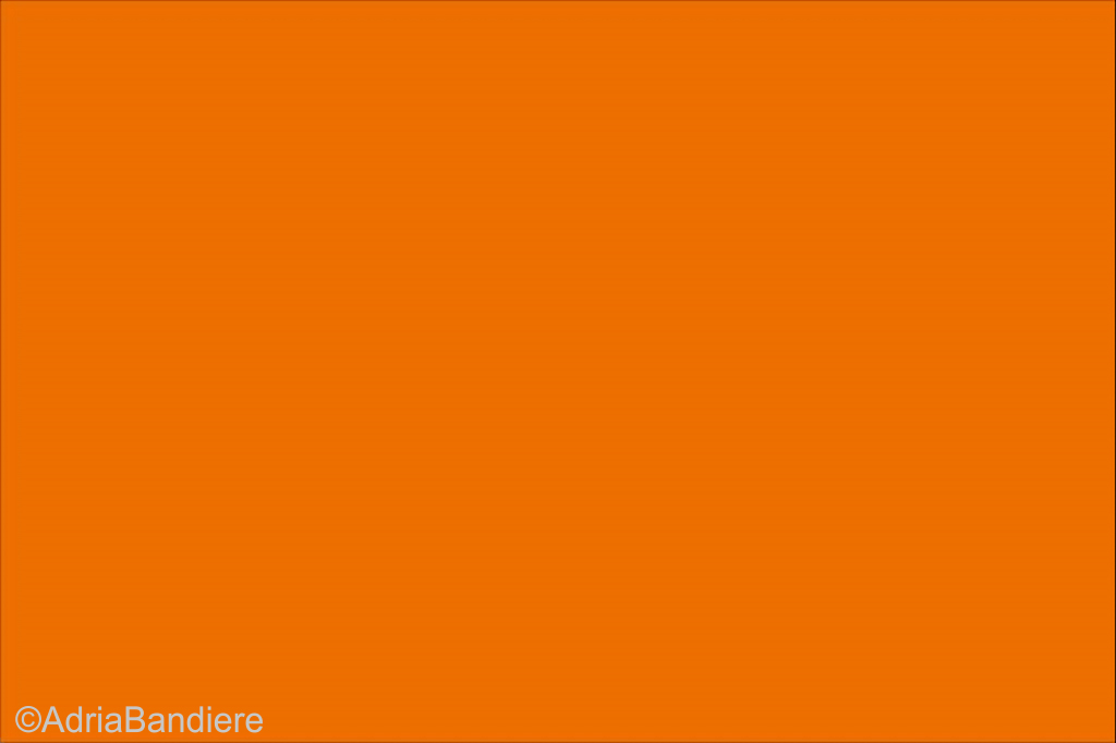 [A00373] Pavillon. 60x73 Etamine Orange Regate